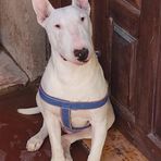 Tracy Suarez - Facebook