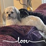 Traci Marie Walsh - @clancy4606 - Instagram