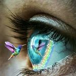Traci Ward - @tlward13 - Instagram