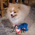 Traci Watson - @traci.watson.3766 - Instagram