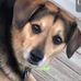 Tracy Watson - Facebook
