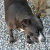 Tracy Wheeler - @tracy.wheeler6 - TikTok