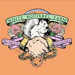 Tracy, Chris and  Winston - @whitesquirrelfarm - Instagram