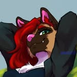 Traci Wolf - @rider_buiz_ - Instagram