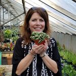 Traci Wright - @stay.calm.and.plant - Instagram