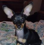 Traci L. Yates - Facebook
