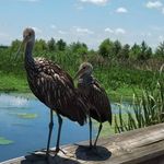 Traci Yates - @traciandleannehandcraft - Instagram