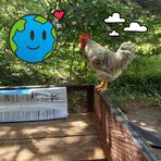Tracy Yates - Facebook