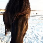 Tracie Abbott Andres - @tracieabbottandres - Instagram