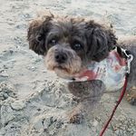 @tracie_boyd_26 - Instagram