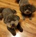 Tracie Boyd - Facebook