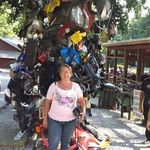 Tracy Boyd - @tracyheidenreich - Instagram