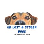 Tracie Broad - @uk_lost_stolen_dogs - Instagram