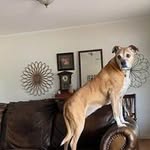 Tracie Burrow - @tracieburrow - Instagram