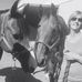 Tracie Chambers - Facebook