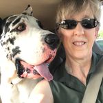 Tracie Davidson - @traciedavidson17 - Instagram