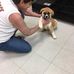 Tracie McPartland-Edmonds - Facebook