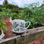 Tracie Griffith - @tgsgardenadventure - Instagram