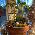 Tracy Griffith - @tracy.inthe.country - Instagram