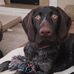 Traci Grimm - Facebook