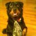 Tracie Johns - Facebook