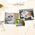 Tracie King - Facebook