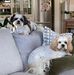 Tracie King - Facebook