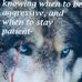 Tracie Lee Shaughnessy - Facebook