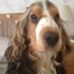 Tracie Marsh - Facebook