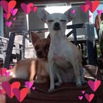 Tracy Nicholson-Warner - @tracynicholsonwarner - Instagram