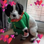 Tracey Patrick - @lemsipblack2001 - Instagram