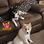 Tracey Patrick - @tracey.patrick.10 - Instagram