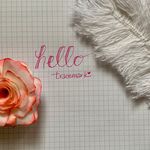 Tracie Quinn - @hello.tracemark - Instagram
