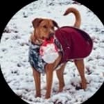 Tracy Schultz - @tracyschultz0722_ - Instagram