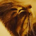 Tracie Shaw - @traciestar712001 - Instagram