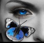 Tracie Shaw - Facebook