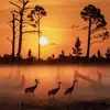 Tracie Small-black - @tracie.smallblack - TikTok