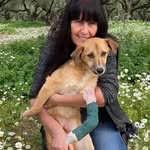 Tracey Staley - @tracey.staley.66 - Instagram
