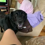 Tracie Steele Koogle - @traciekoogle - Instagram