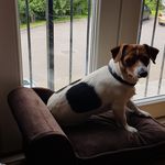 Tracie Wheeler - @tracie.wheeler.3382 - Instagram