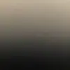 Tracie Wolf - @tracie.wolf7 - TikTok