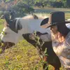 Tracie woods - @traciewoods0 - TikTok