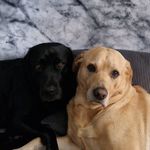 Tracy Adam - @hendrixbrownmailcom - Instagram