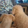 Tracy Adam - @tracy.adam24 - TikTok