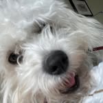 Tracy Alderman - @taalderman - Instagram