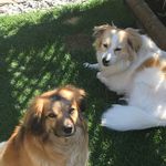 Tracy Allan - @tracyallan8336 - Instagram