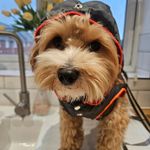 Tracy Allan - @plum1922 - Instagram