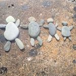Tracy Allan - @tracyallan77 - Instagram