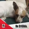 Tracy Allan - @tracy.allan - TikTok