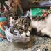 Tracy Alm - Facebook